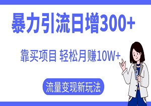 2024火爆项目揭秘：引流日增300+，轻松月赚10W+，流量变现新玩法！-二八网赚