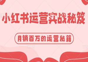 小红书运营实战秘笈：揭秘月销百万的爆发增长之道！-二八网赚