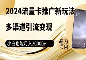 揭秘2024流量卡推广新玩法，多渠道引流变现，小白也能月入20000+！-二八网赚