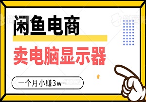 二手闲鱼电商，教你如何卖电脑显示器，学会了一个月小赚3w+-二八网赚