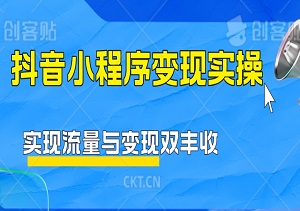 抖音小程序变现实操：揭秘底层逻辑，轻松实现流量与变现双丰收-二八网赚