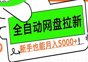 全自动网盘拉新：0粉起步，新手也能月入5000+的实战指南-二八网赚