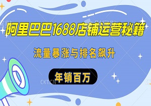 阿里巴巴1688店铺运营秘籍，解锁流量暴涨与排名飙升的终极策略，年销百万-二八网赚