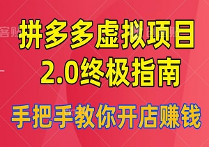 拼多多虚拟项目升级版：2.0终极指南，手把手教你开店赚钱-二八网赚