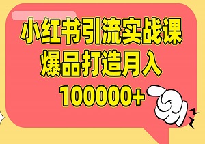 小红书引流实战课，详解运营逻辑，助力淘宝天猫销售增量，爆品打造月入100000+-二八网赚