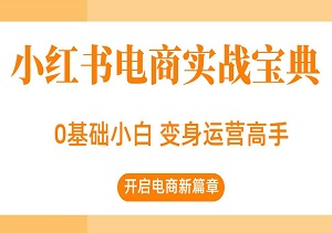小红书电商实战宝典，0基础小白变身运营高手，带你玩转小红书-二八网赚