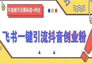 抖音飞书引流，无限私信+评论，日引300+创业粉，不违规不封号！-二八网赚