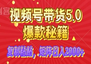  视频号带货5.0爆款秘籍！当天起号，复制粘贴，矩阵日入2000+-二八网赚