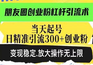 朋友圈创业粉引爆术：高效杠杆引流，日增300+精准粉丝，变现无忧-二八网赚