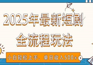 2025年最新短剧玩法，全流程实操，小白轻松上手，视频号抖音同步分发，单日收入500+-二八网赚