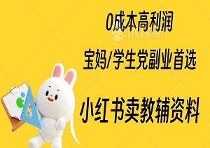 宝妈/学生党副业首选，小红书卖教辅资料，0成本高利润，手把手教你月入过万！-二八网赚