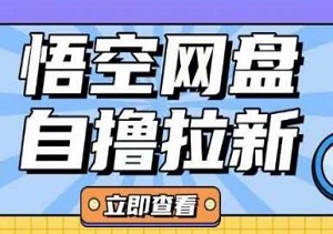 躺赚新项目，悟空网盘云真机拉新，简单操作日入50+，新手小白也能轻松上手！-二八网赚