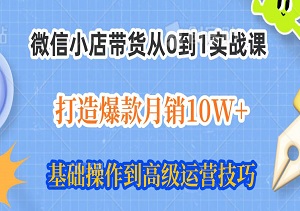 微信小店带货从0到1实战课，打造爆款月销10W+，新手小白也能轻松上手！-二八网赚