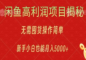 闲鱼高利润项目揭秘，无需囤货操作简单，新手小白也能月入5000+！-二八网赚