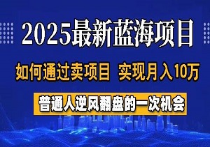 2025年普通人逆袭机会！低门槛高回报项目，通过卖项目，实现月入过W，全过程【揭秘】-二八网赚
