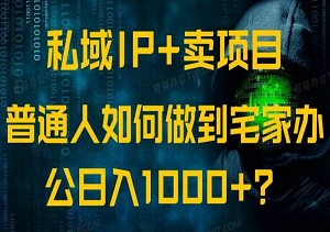 私域IP+卖项目，复制这套私域IP变现模式，90天宅家躺赚10w+！-二八网赚