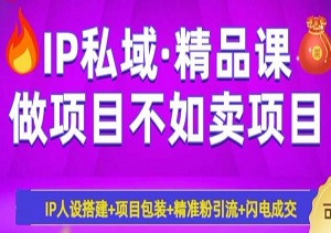 揭秘IP私域暴利变现模式，30天躺赚10w+！-二八网赚