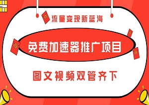 流量变现新蓝海，免费加速器推广项目，图文视频双管齐下，轻松月入过万！-二八网赚