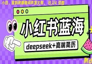 Deepseek+小红书简历蓝海项目：24小时自动发货，零成本日入四位数，随时随地赚钱！-二八网赚