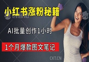 小红书涨粉秘籍，AI批量创作1小时=1个月爆款图文笔记，新手也能轻松上手！-二八网赚