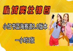 私域卖壮锦包，一小时3张，小红书蓝海赛道3.0版本， 保姆式教学-二八网赚
