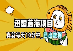 迅雷浏览器项目_真就每天忙活10分钟，完整拆解+热点把控(超详细拆解教程)-二八网赚