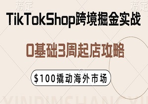 TikTokShop跨境掘金实战：0基础3周起店攻略，手把手教你用$100撬动海外市场-二八网赚