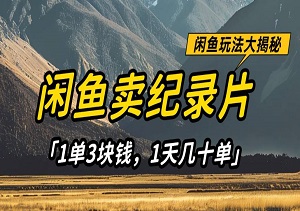 闲鱼卖纪录片1单3块钱，1天几十单，项目稳定有潜力-二八网赚