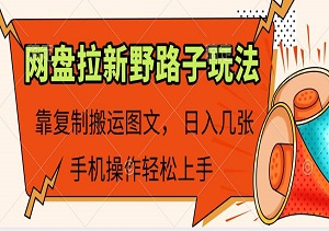 网盘拉新野路子玩法，靠复制搬运图文， 日入几张，2分钟一条，手机操作轻松上手-二八网赚