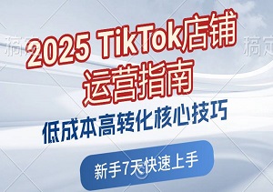 2025 TikTok店铺运营指南：低成本高转化核心技巧，新手7天快速上手-二八网赚