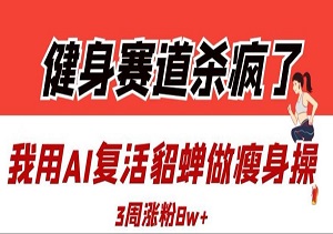 健身赛道杀疯了？我用AI复活貂蝉做瘦身操，3周涨粉8W-二八网赚