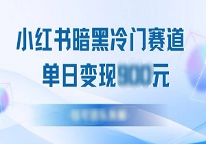 小红书冷门”暗黑”赛道，单日收益多张-二八网赚
