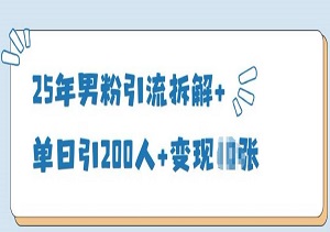 25年男粉引流拆解+单日引200人+变现多张-二八网赚