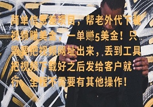 零门槛挣美金，海外视频代下服务，单笔收益40+，小白也能轻松上手-二八网赚