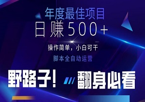 云机全自动答题日赚500+，轻松实现睡后收益，操作简单，2025最新野路子，翻身必看-二八网赚