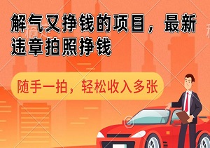 解气又挣钱的项目，最新违章拍照挣钱，随手一拍，轻松收入多张【揭秘】-二八网赚