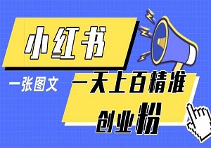 小红书模版一张图片一天轻松引流上百创业粉-二八网赚