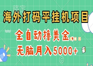 海外打码平挂机项目，全自动撸美金，无脑月入5000+-二八网赚