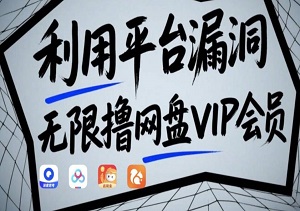 利用平台漏洞，无限撸网盘VIP会员，用户亲测有效!【漏洞原理+操作演示】-二八网赚