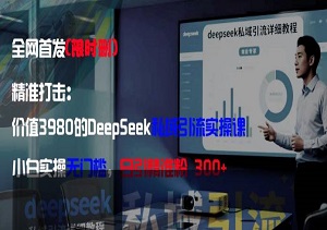精准打击：价值3980的DeepSeek私域引流实操课，小白实操无门槛，日引精准粉300+-二八网赚