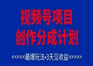 视频号最新变现玩法！3天出收益，单号3000+/月，矩阵操作日入过万！-二八网赚