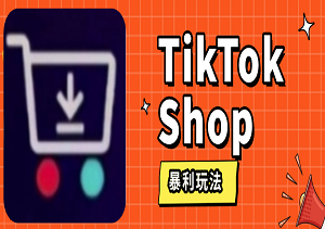 TikTok Shop暴利玩法：单人单店月入2W+美金实战教程，手把手带你吃透海外流量（附SOP）-二八网赚