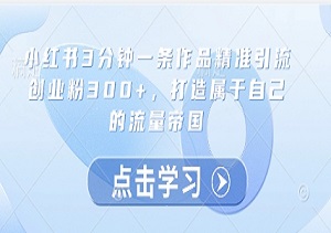 小红书3分钟引流术：单条作品狂吸300+创业粉，手把手教你打造精准流量池，轻松变现-二八网赚