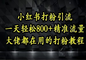 1天狂吸500+精准粉！小红书大佬绝不外传的打粉绝招，新手秒上手！-二八网赚