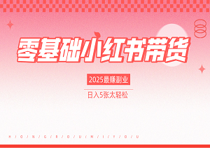 零基础玩转小红书带货！2025最赚副业，日入5张太轻松（附选品资料包）-二八网赚