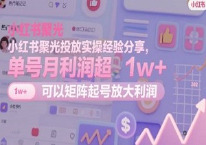 小红书聚光投放实操经验分享，单号月利润超1w+，可以矩阵起号放大利润-二八网赚