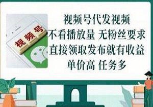 真正的躺赚副业来了！视频号代发任务，不看播放量，不靠粉丝，发布就有钱拿-二八网赚